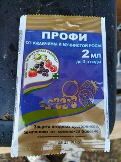 Фунгицид Профи, от болезней на ягодных кустарниках и землянике, 2 мл, ампула, Зеленая аптека Садовода - фото 4 от пользователя