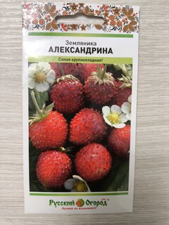 Семена Земляника, Александрина, 0.05 г, цветная упаковка, Русский огород - фото 4 от пользователя