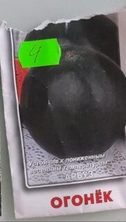 Семена Арбуз, Огонек, цветная упаковка, Поиск - фото 9 от пользователя