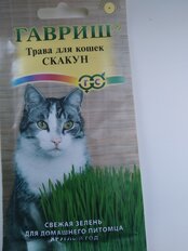 Семена Трава для кошек, Скакун, 10 г, цветная упаковка, Гавриш - фото 9 от пользователя