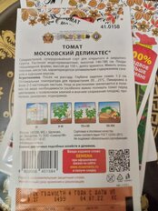 Семена Томат, Московский деликатес, 0.2 г, 200%, цветная упаковка, Русский огород - фото 8 от пользователя