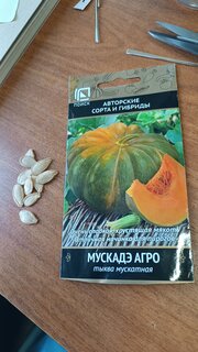Семена Тыква, Мускадэ Агро, мускатная, цветная упаковка, Поиск - фото 4 от пользователя