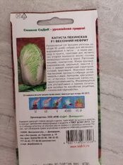 Семена Капуста пекинская, Весенний Нефрит F1, 0.3 г, цветная упаковка, Седек - фото 1 от пользователя