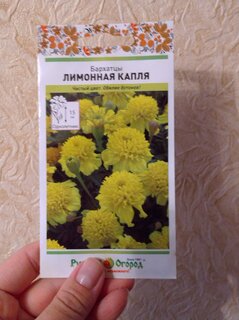 Семена Цветы, Бархатцы, Лимонная капля, 0.3 г, цветная упаковка, Русский огород - фото 5 от пользователя