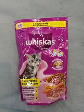 Корм для животных Whiskas, 350 г, для котят, 1-12 месяцев, сухой, индейка, молочные подушечки, коробка, 47103/7633/10116570 - фото 6 от пользователя