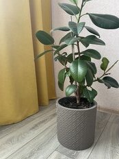 Горшок для цветов пластик, 9.5 л, 28х27 см, с вставкой, французcкий серый, Idea, Этна, М 3184 - фото 1 от пользователя