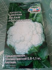 Семена Капуста цветная, Белая головушка, 0.5 г, Евро, цветная упаковка, Седек - фото 3 от пользователя