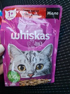 Корм для животных Whiskas, 75 г, для взрослых кошек 1+, желе, говядина/ягнятина, пауч, G8457 - фото 8 от пользователя