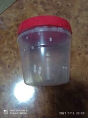 Банка для сыпучих продуктов, пластик, 0.5 л, 10 см, с крышкой, Полимербыт, С432, в ассортименте - фото 7 от пользователя