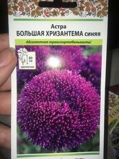 Семена Цветы, Астра, Большая хризантема синяя, 50 шт, цветная упаковка, Русский огород - фото 1 от пользователя