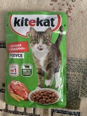 Корм для животных Kitekat, 85 г, для кошек, говядина в соусе, пауч - фото 8 от пользователя