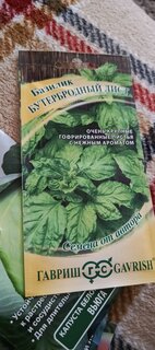 Семена Базилик, Бутербродный лист, 0.1 г, Семена от автора, цветная упаковка, Гавриш - фото 5 от пользователя