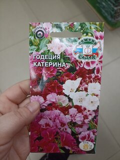 Семена Цветы, Годеция, Катерина, 0.15 г, цветная упаковка, Седек - фото 1 от пользователя