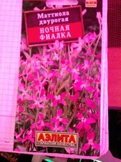 Семена Цветы, Маттиола, Ночная фиалка, 0.5 г, цветная упаковка, Аэлита - фото 4 от пользователя