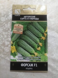 Семена Огурец, Форсаж F1, цветная упаковка, Поиск - фото 3 от пользователя