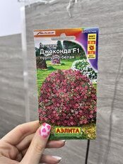 Семена Цветы, Петуния, Джоконда F1 пурпурно-белая, цветная упаковка, Аэлита - фото 3 от пользователя