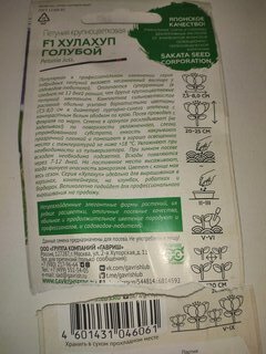 Семена Цветы, Петуния, Хулахуп голубой, цветная упаковка, Гавриш - фото 5 от пользователя