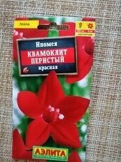 Семена Цветы, Ипомея, Квамоклит красная, 0.5 г, цветная упаковка, Аэлита - фото 6 от пользователя