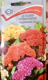 Семена Цветы, Целозия, Коралловый сад, 0.1 г, гребенчатая, цветная упаковка, Поиск - фото 6 от пользователя