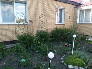 Шпалера для растений, металл, 38х206 см, Садовита, Дивная, №8 - фото 7 от пользователя