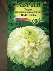 Семена Цветы, Бархатцы, Ванилла, 0.05 г, цветная упаковка, Гавриш - фото 5 от пользователя