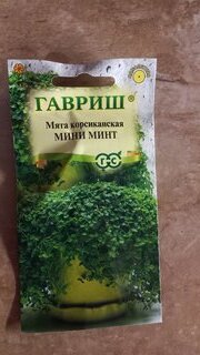 Семена Мята, Мини Минт, Цветочная коллекция, корсиканская, гранулы, цветная упаковка, Гавриш - фото 1 от пользователя