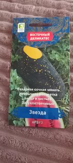 Семена Арбуз, Звезда, 5 шт, цветная упаковка, Поиск - фото 1 от пользователя