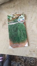 Семена Укроп, Мамонт, 2 г, цветная упаковка, Седек - фото 9 от пользователя
