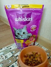 Корм для животных Whiskas, 350 г, для взрослых кошек 1+, сухой, курица/индейка, подушечки с паштетом, пакет - фото 9 от пользователя