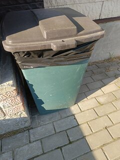 Контейнер для мусора пластик, 120 л, с крышкой, с колесами, 50.6х56х72 см, зеленый, Элластик-Пласт - фото 2 от пользователя