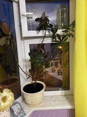 Кашпо керамика, 9.4 л, 30х21 см, в ассортименте, Модерн №1, 10 000 126 - фото 2 от пользователя