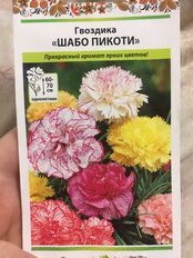 Семена Цветы, Гвоздика, Шабо Пикоти, 0.1 г, цветная упаковка, Русский огород - фото 4 от пользователя