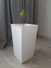 Горшок напольный для цветов пластик, 8 л, 22х41.5 см, со вставкой, белый, Альтернатива, Ротанг, М6825 - фото 5 от пользователя