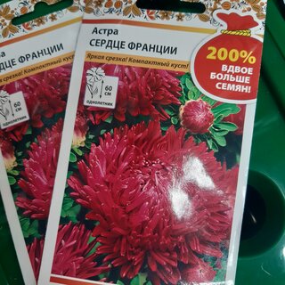 Семена Цветы, Астра, Сердце Франции, 0.5 г, 200%, Русский огород - фото 1 от пользователя