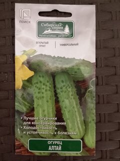 Семена Огурец, Алтай, Сибирская, цветная упаковка, Поиск - фото 6 от пользователя