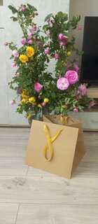 Пакет подарочный бумага, 30х30х28 см, Крафт, Y4-9090 - фото 2 от пользователя