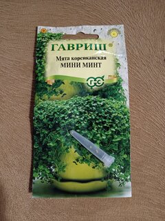 Семена Мята, Мини Минт, Цветочная коллекция, корсиканская, гранулы, цветная упаковка, Гавриш - фото 3 от пользователя