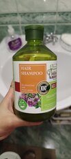 Шампунь Herbal&amp;Berries, для окрашенных волос, 500 мл, с экстрактом чабреца - фото 2 от пользователя