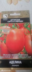 Семена Томат, Аделина, 0.1 г, цветная упаковка, Поиск - фото 8 от пользователя