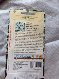 Семена Цветы, Лобелия, Белый каскад, 0.01 г, Цветочная коллекция, ампельная, цветная упаковка, Гавриш - фото 6 от пользователя