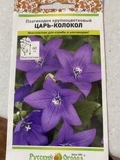 Семена Цветы, Платикодон, Крупноцветковый Царь-Колокол, 8 шт, цветная упаковка, Русский огород - фото 9 от пользователя