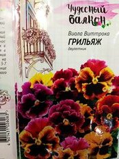 Семена Цветы, Виола, Грильяж, 0.05 г, Чудесный балкон, цветная упаковка, Гавриш - фото 7 от пользователя