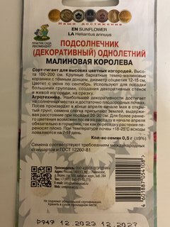 Семена Цветы, Подсолнечник, Малиновая королева, 0.5 г, однолетний, декоративные, цветная упаковка, Поиск - фото 9 от пользователя