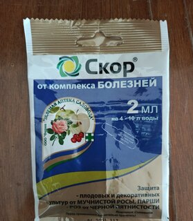 Фунгицид Скор, от болезней, 2 мл, Зеленая аптека Садовода - фото 6 от пользователя