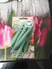 Семена Огурец, Аллигатор 4 F1, 0.2 г, цветная упаковка, Седек - фото 1 от пользователя
