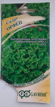 Семена Салат полукочанный, Орфей, 0.5 г, хрустящий зеленые, цветная упаковка, Гавриш - фото 9 от пользователя