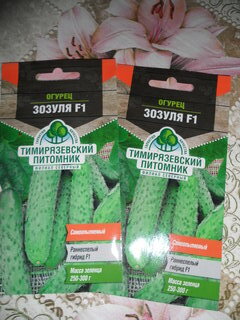 Семена Огурец, Зозуля F1, 0.3 г, цветная упаковка, Тимирязевский питомник - фото 5 от пользователя