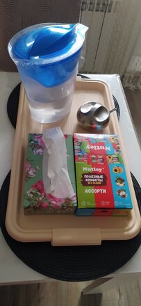 Поднос пластик, 59х32х23 см, прямоугольный, в ассортименте, Полимербыт, С120 - фото 6 от пользователя