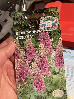 Семена Цветы, Дельфиниум, Астолат многолетний розовый, 0.1 г, цветная упаковка, Седек - фото 7 от пользователя