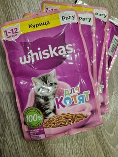 Корм для животных Whiskas, 75 г, для котят, 1-12 месяцев, рагу, курица, пауч, G8480 - фото 1 от пользователя